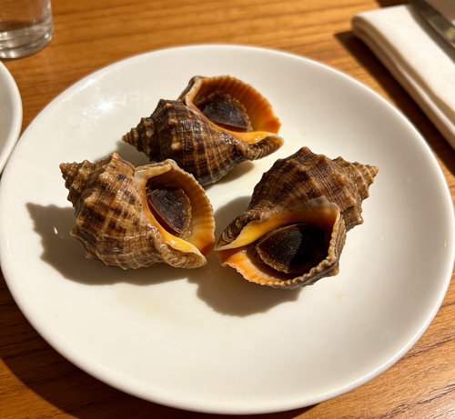 Conch Meat in Shell