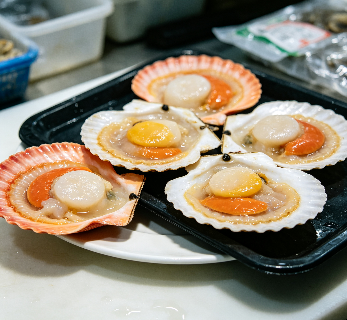 Scallops in Shell